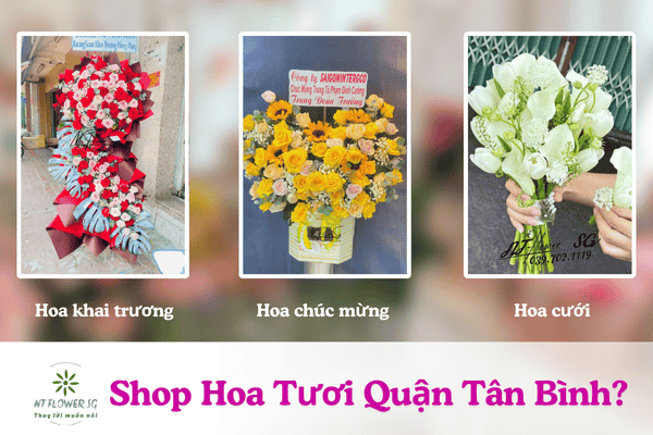 Shop Hoa Tươi Quận Tân Bình - Giao Nhanh Chỉ 30 Phút
